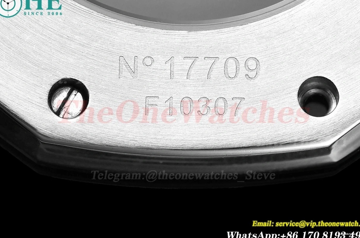 Oak SS Dial 41mm SS 15500 MY8215 Black Royal 0203